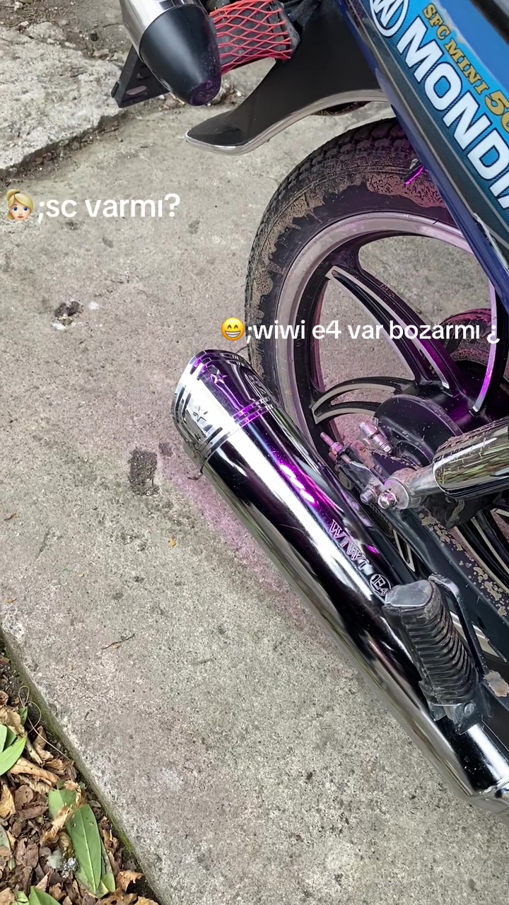 @celal &ccedil;akır