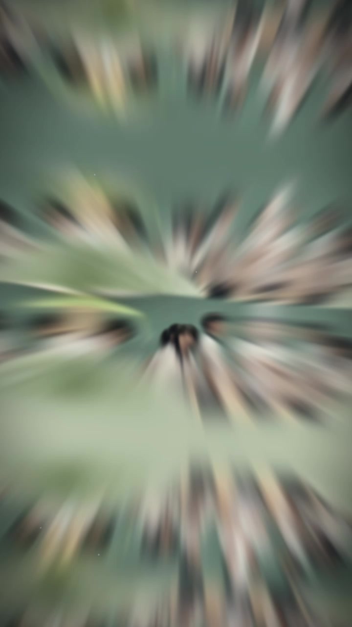 @pt