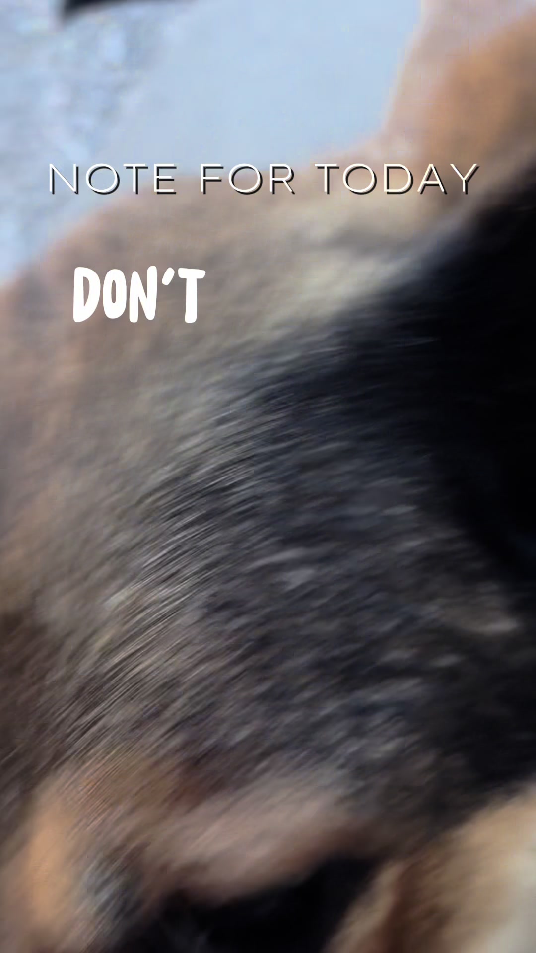 @FaithfulFriendsAnimalAdvocates
