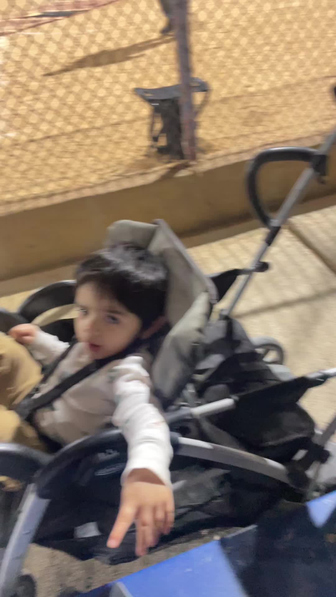 @HDZFamily