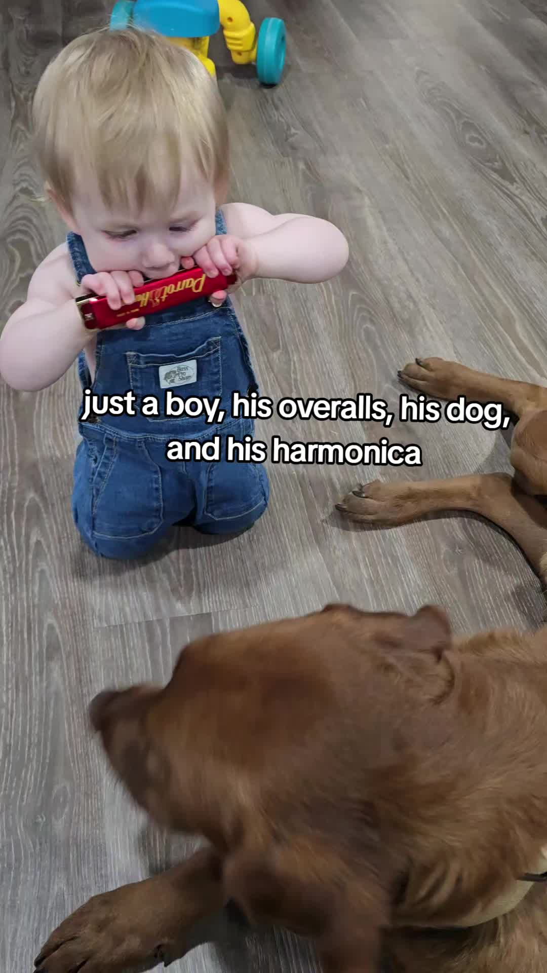 @hankinthehat