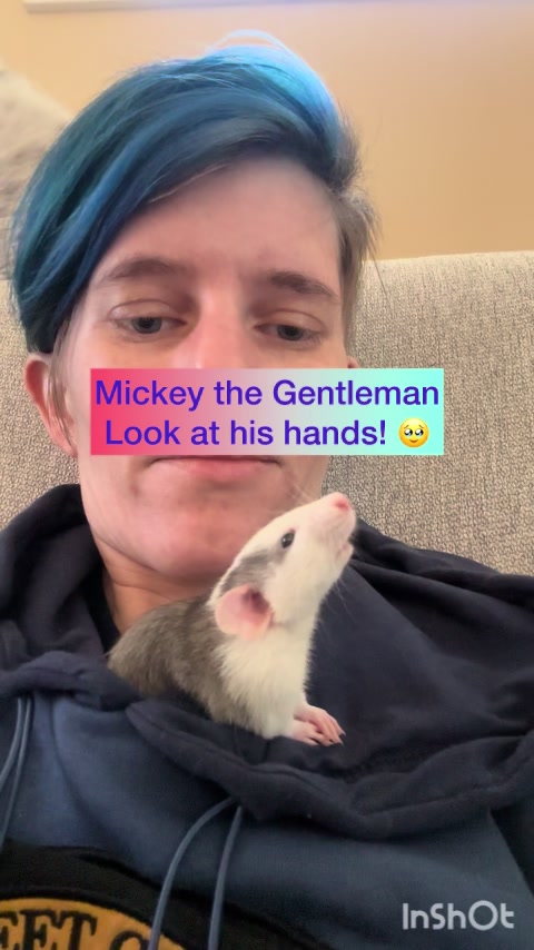 @Nosies and Toesies Rattery