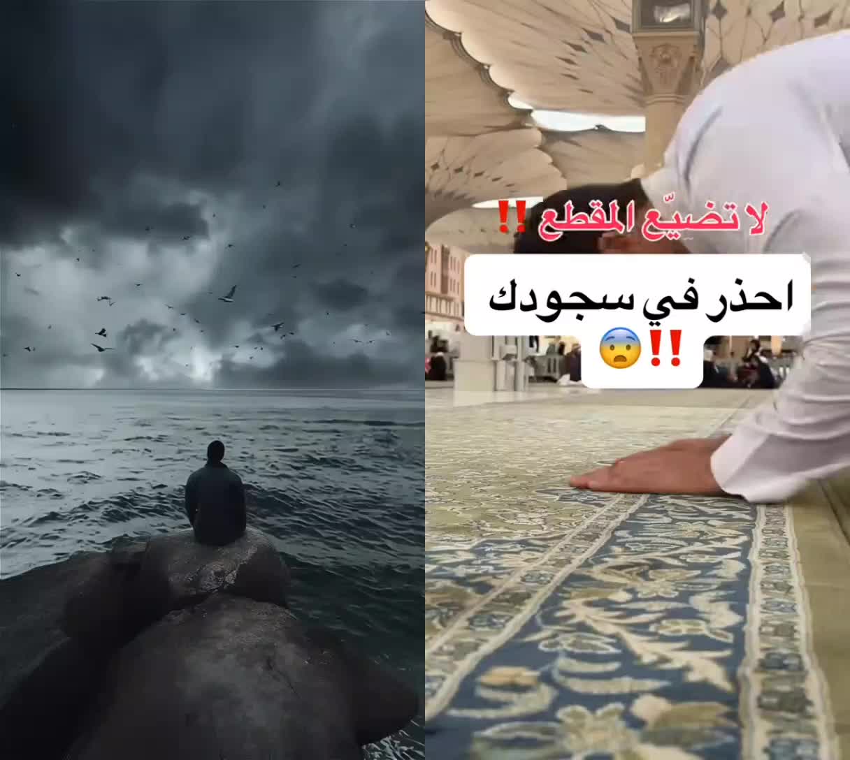 @فارس بلا جواد