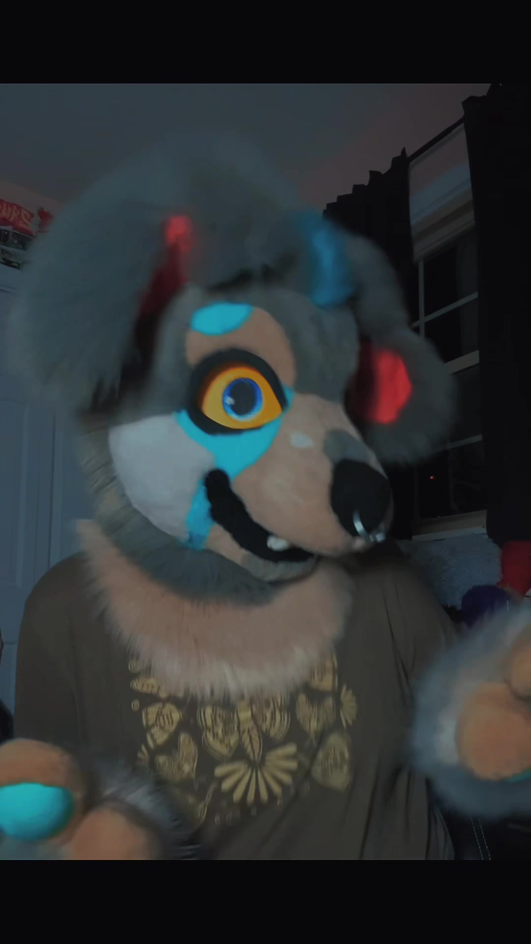 @wolfzuqe