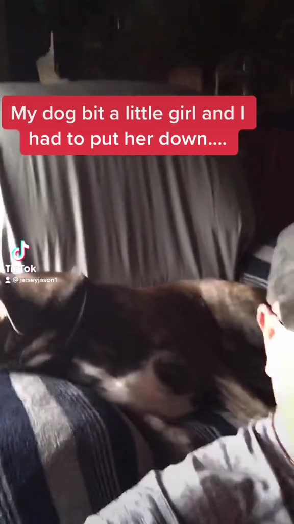 @Jerseyjason2