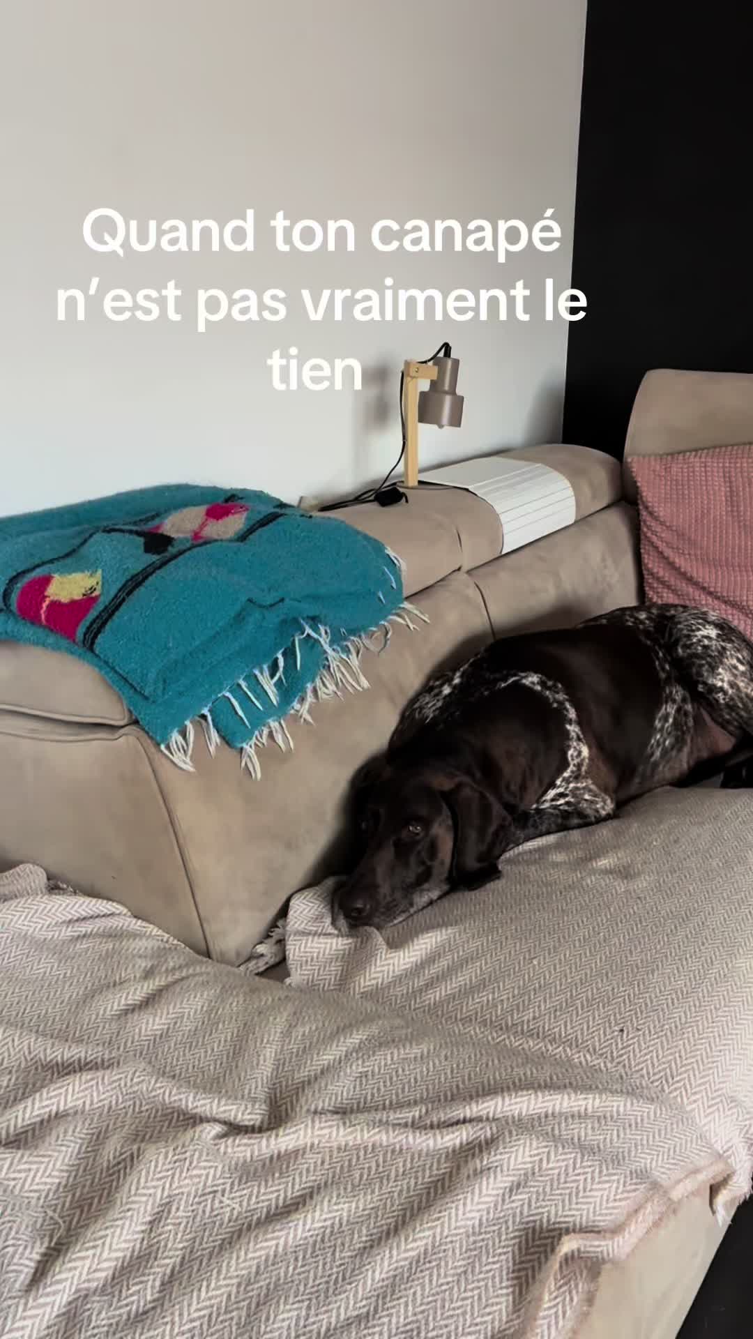 @magsansphil
