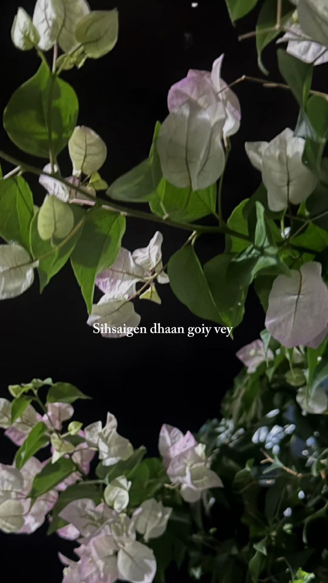 @𝐑𝐞𝐞 𝐒𝐡𝐞𝐫🥀🕊️