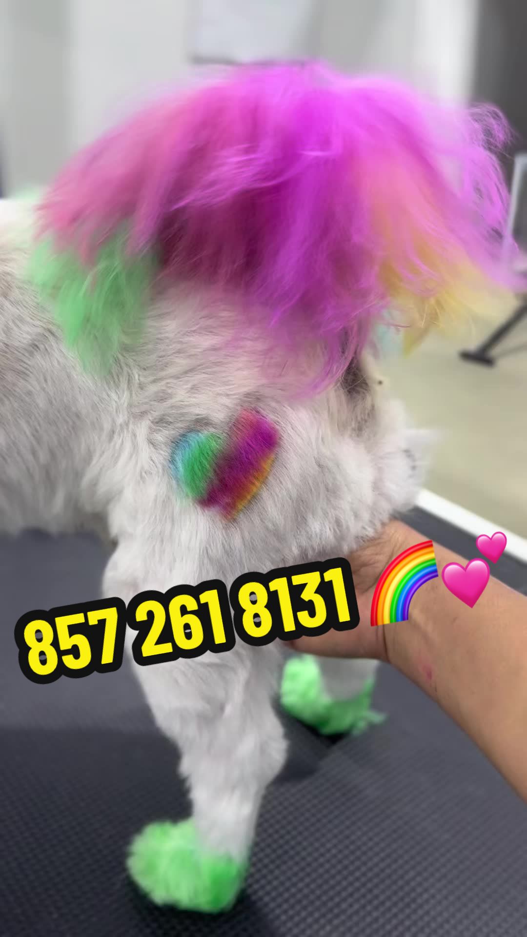 @Sincere Groomer