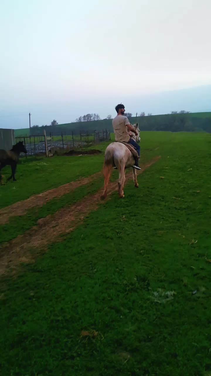 @CƏNUB_CƏLİLABAD