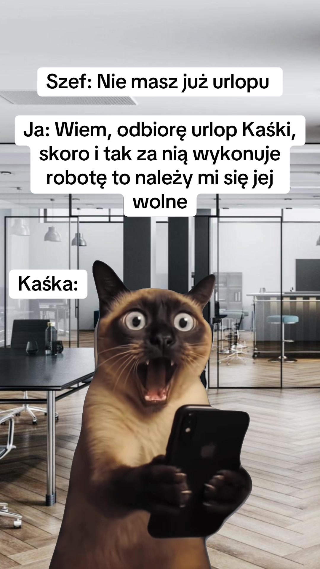 @mem08
