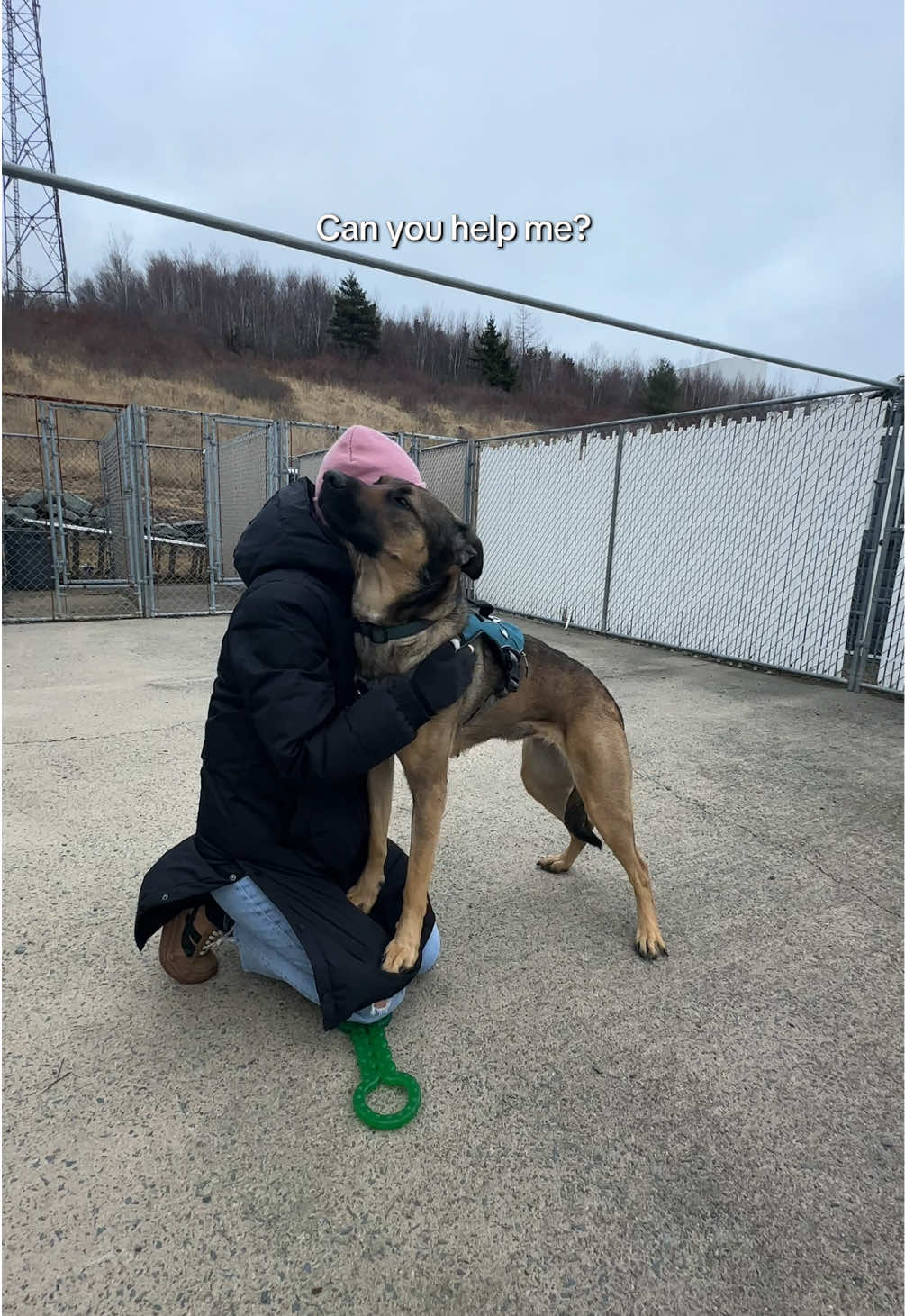 @Bide Awhile Animal Shelter