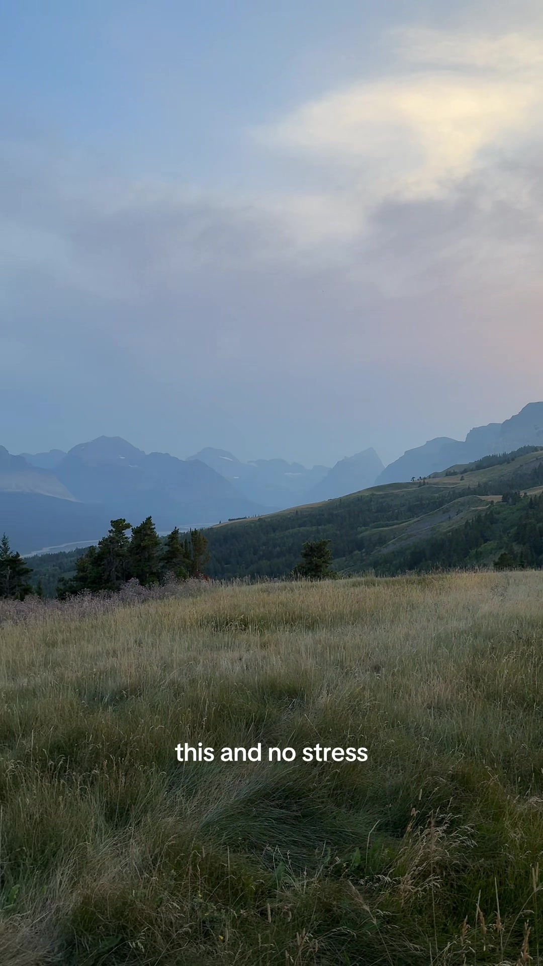 @Autumn