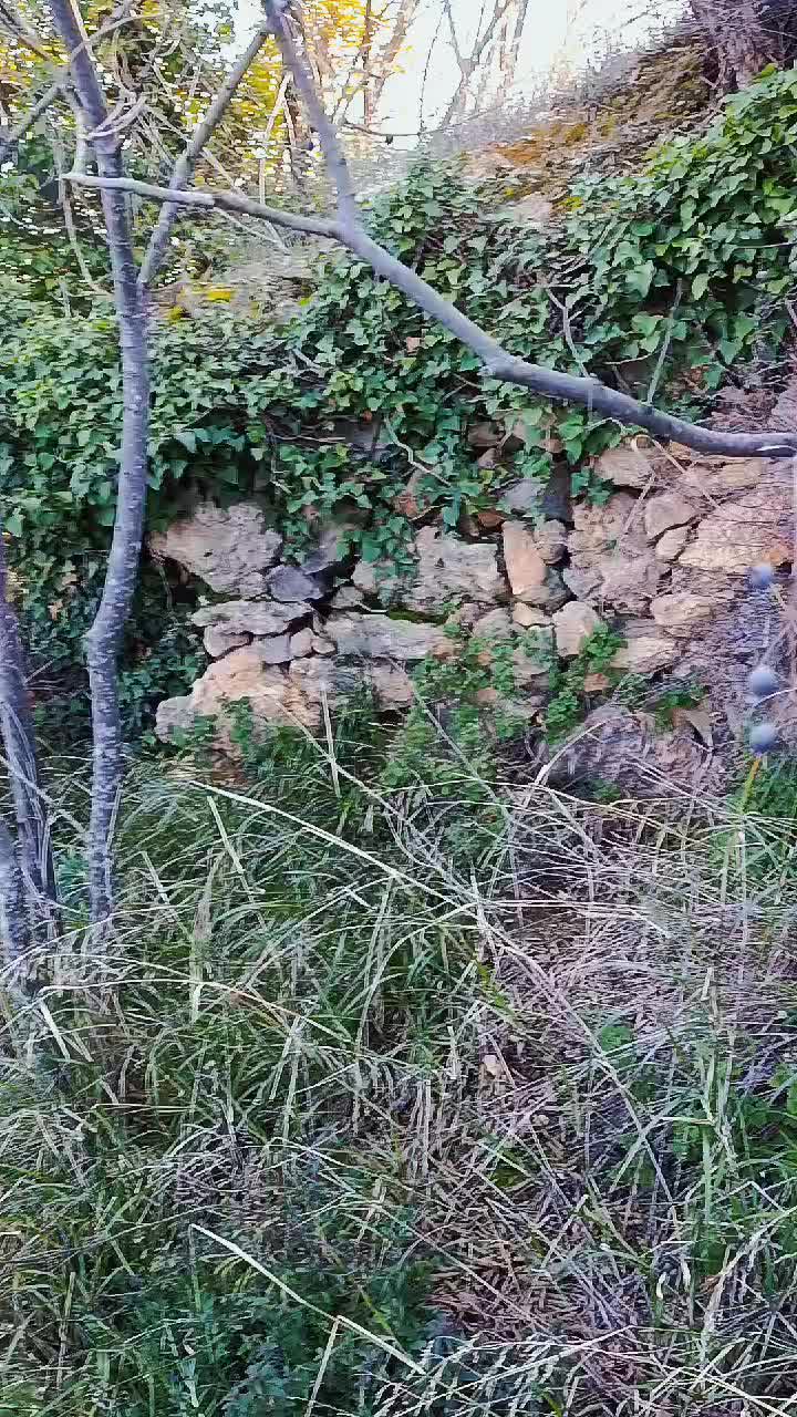@Mike Rosse