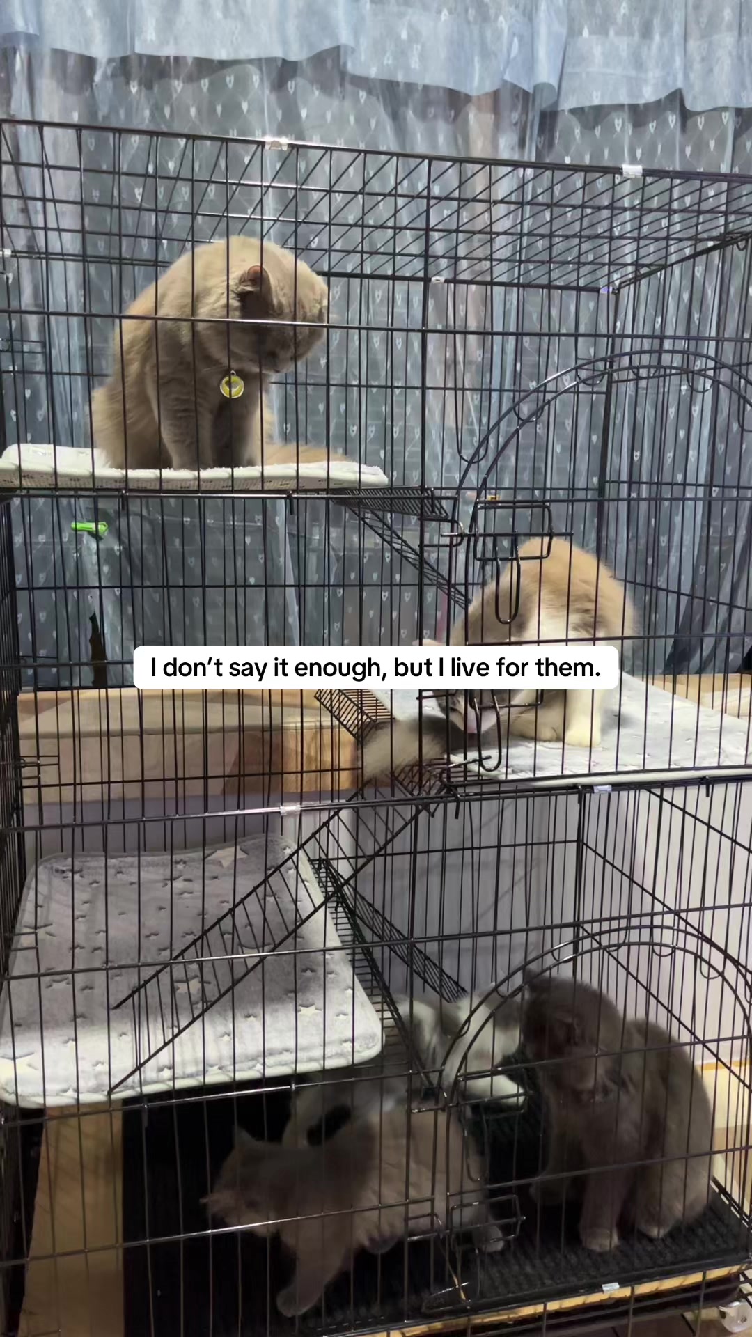 @johanna