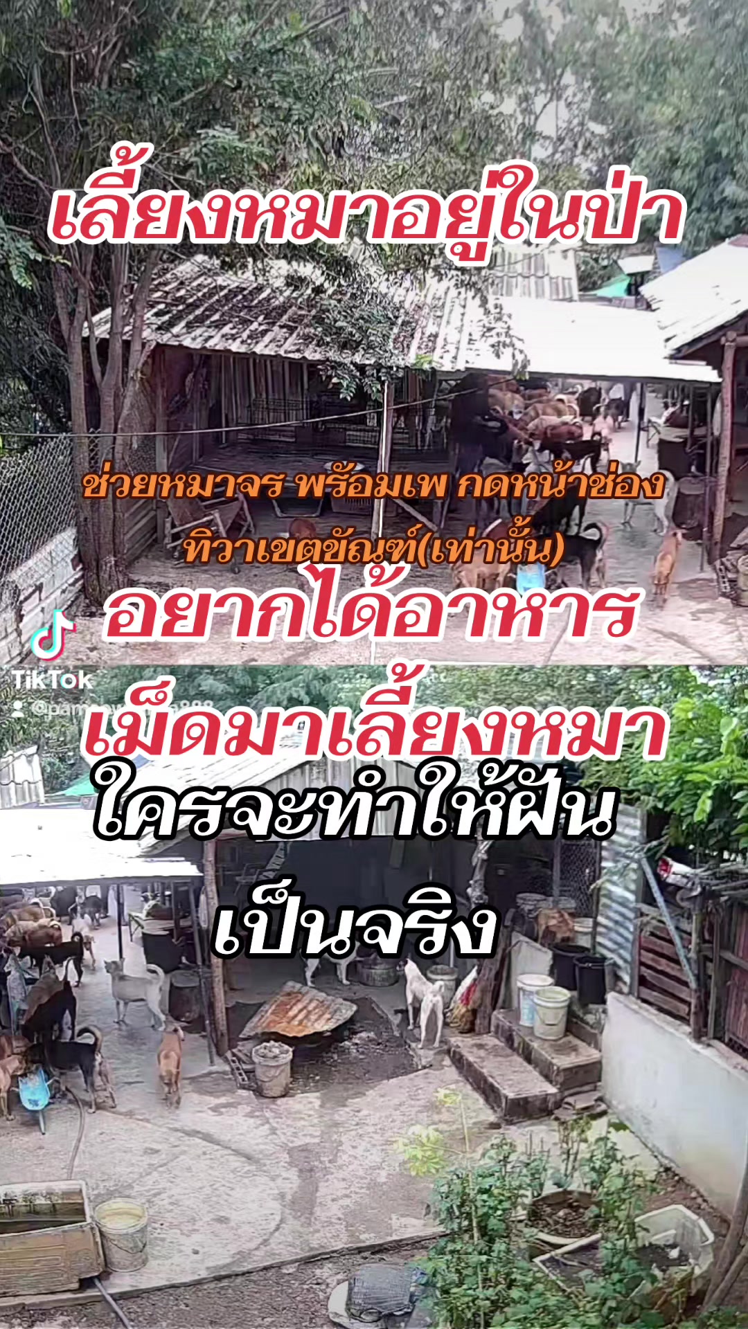 @๐๘๖๑๔o๘๓๙๖ทิวาเขตขัณฑ์