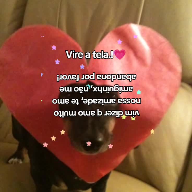 @Lari