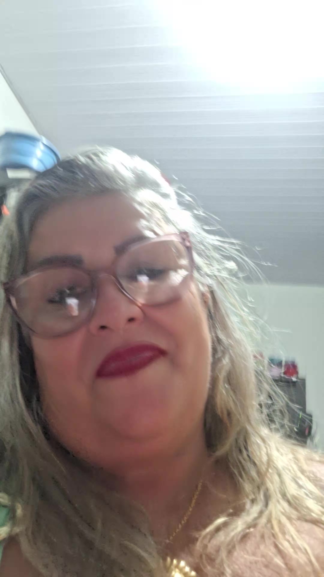 @sirleybraga