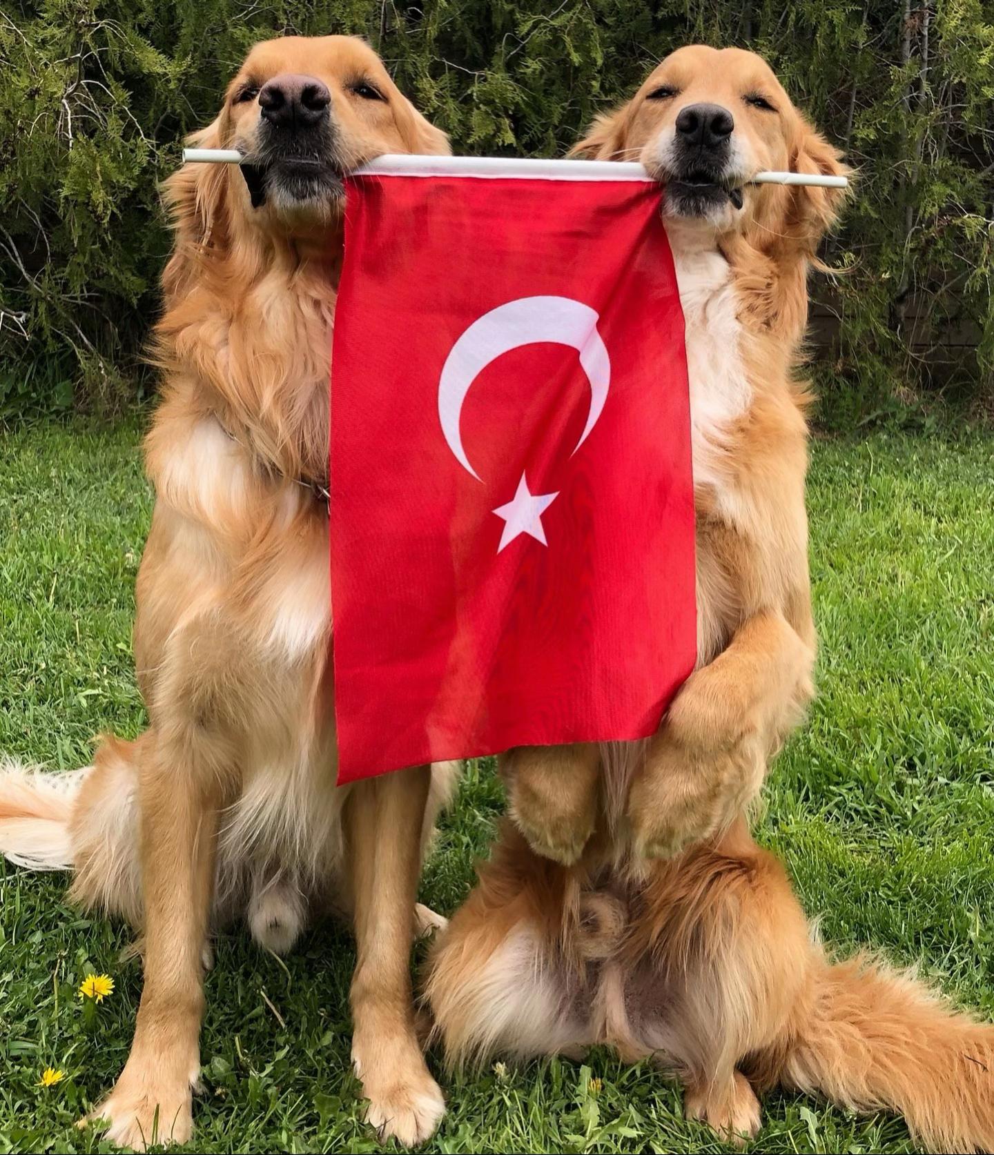 @muratheki