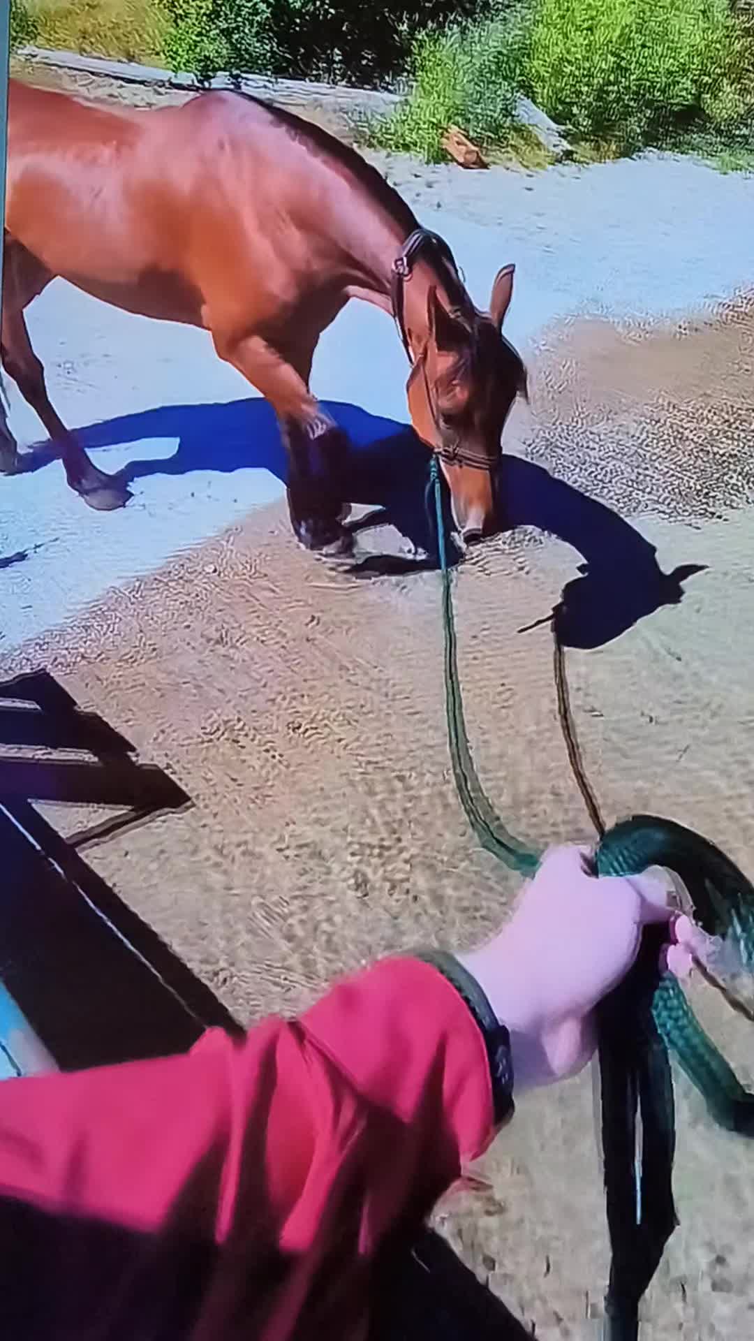 @RingDoorBellVideos