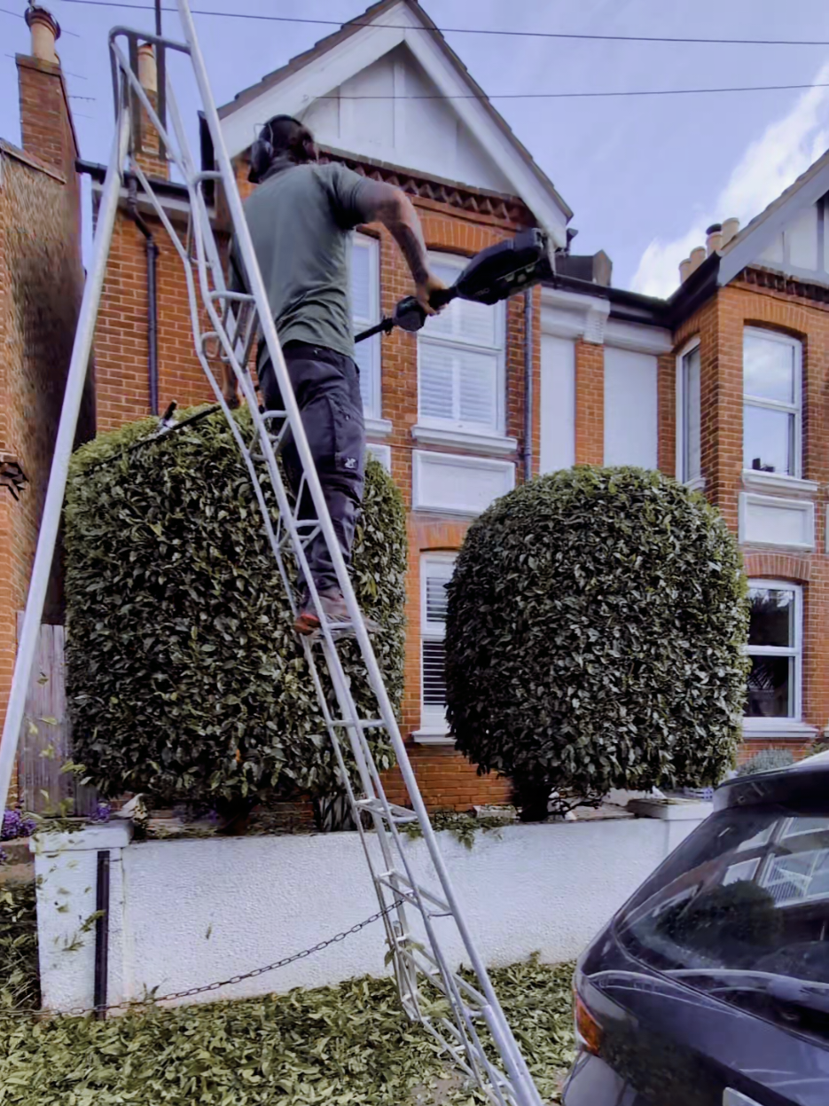 @Gary Hall Garden Services