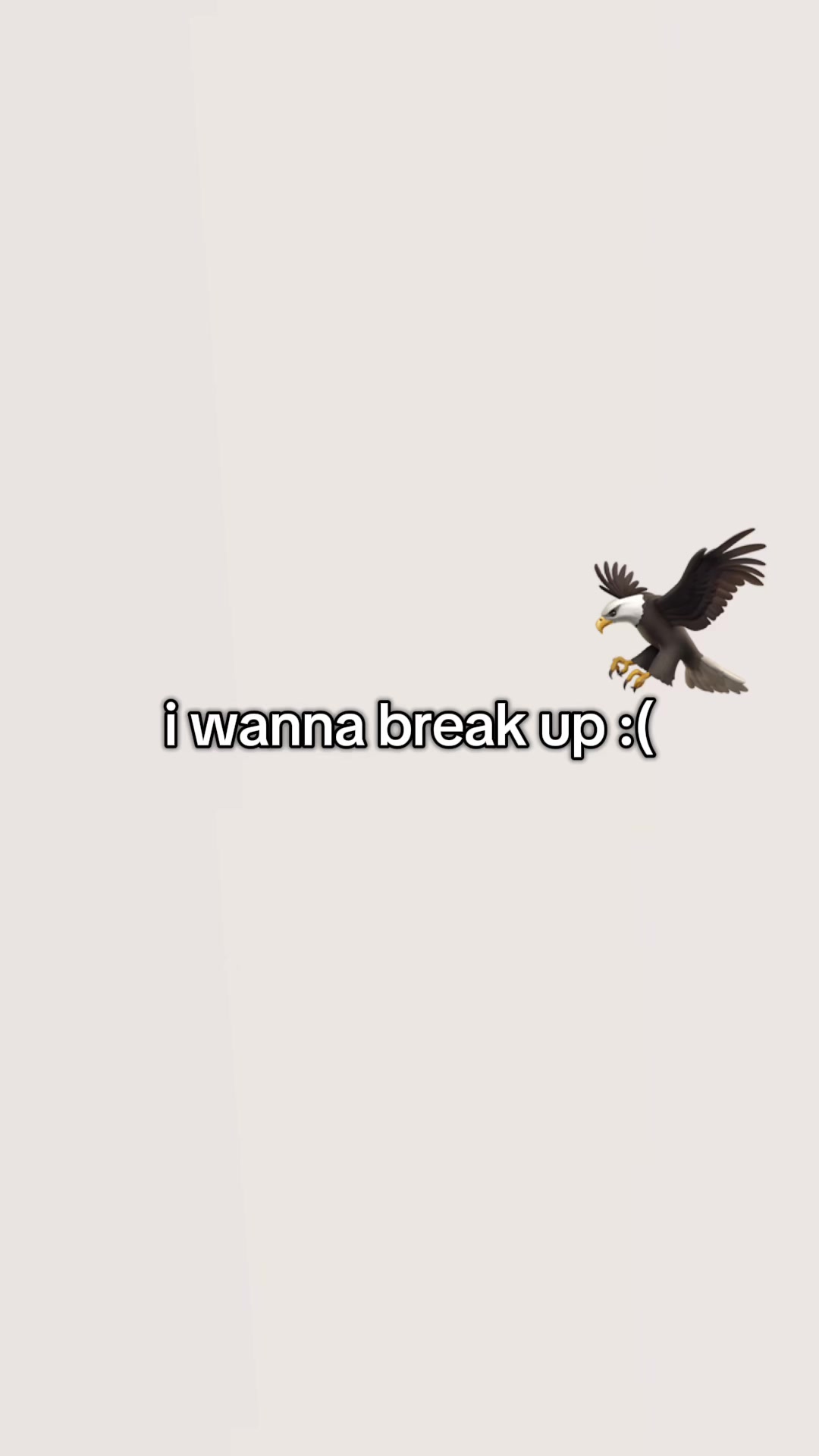 @Angry Birds