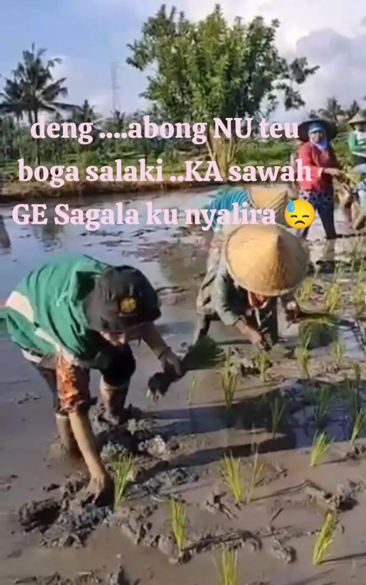 @@kopii pait