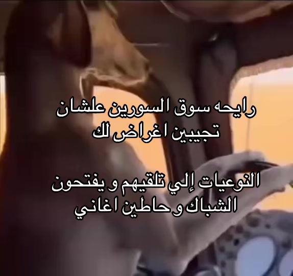 @🔥سوبر هلاقه عرعر 🔥