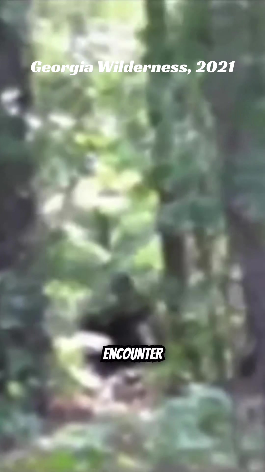 @Bigfootbirdwatcher