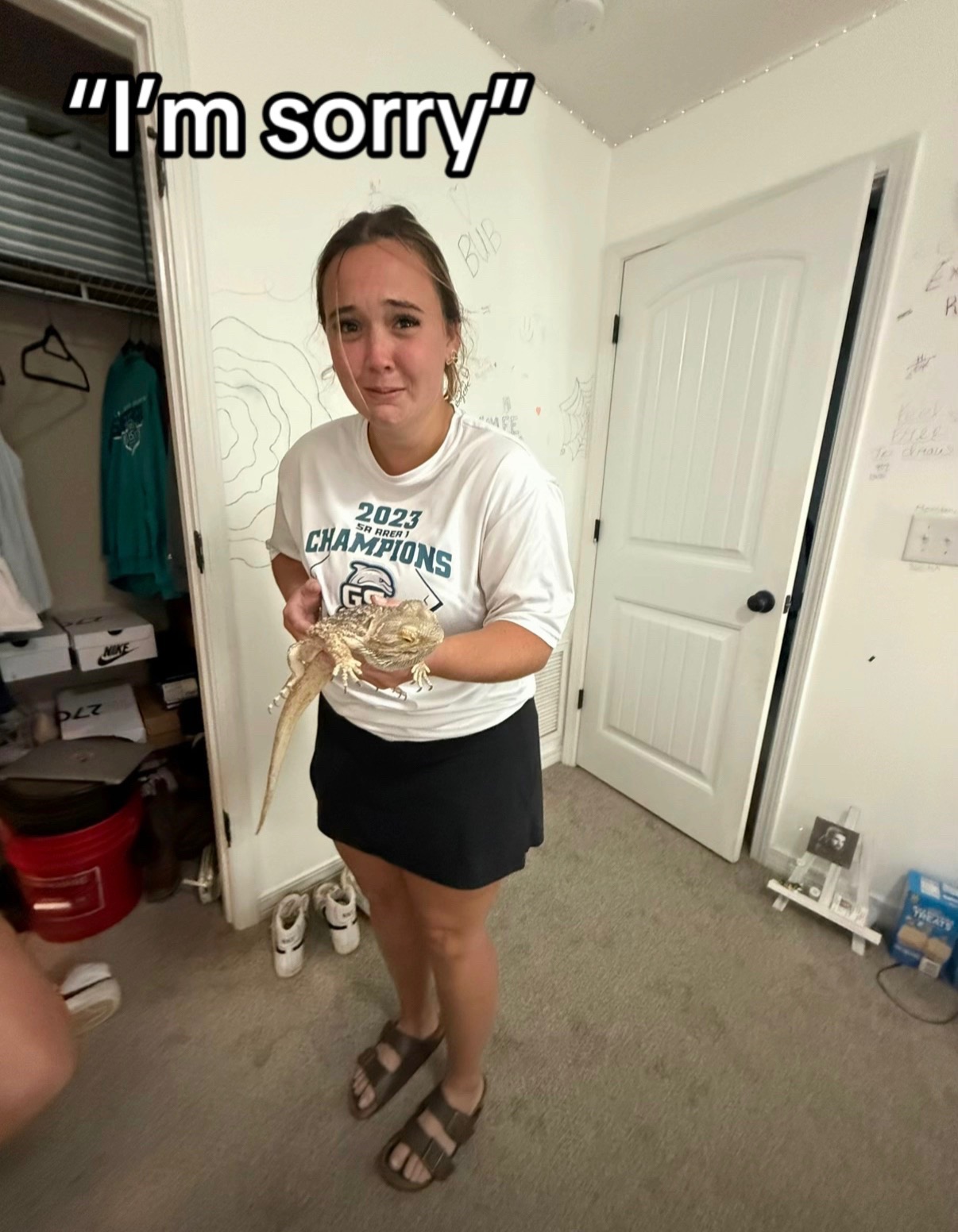 @Maddiespams