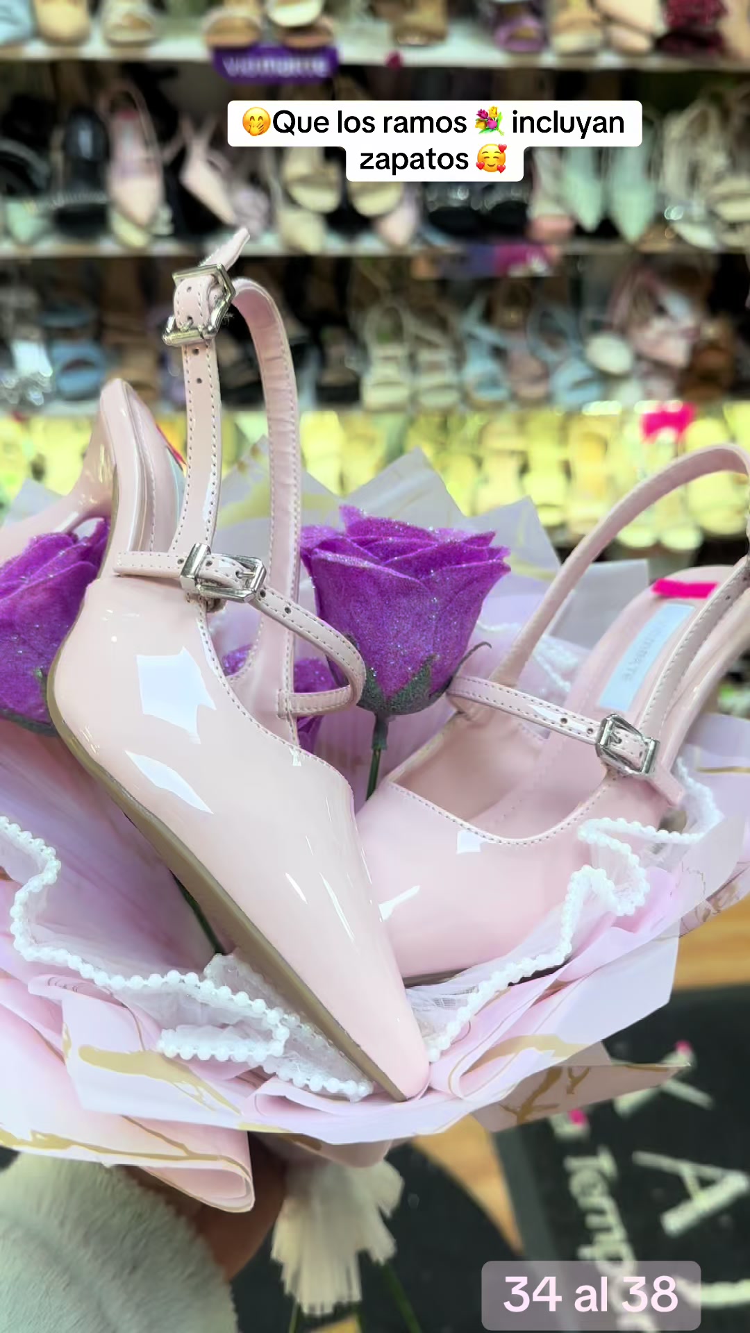 @zapateriaxajab