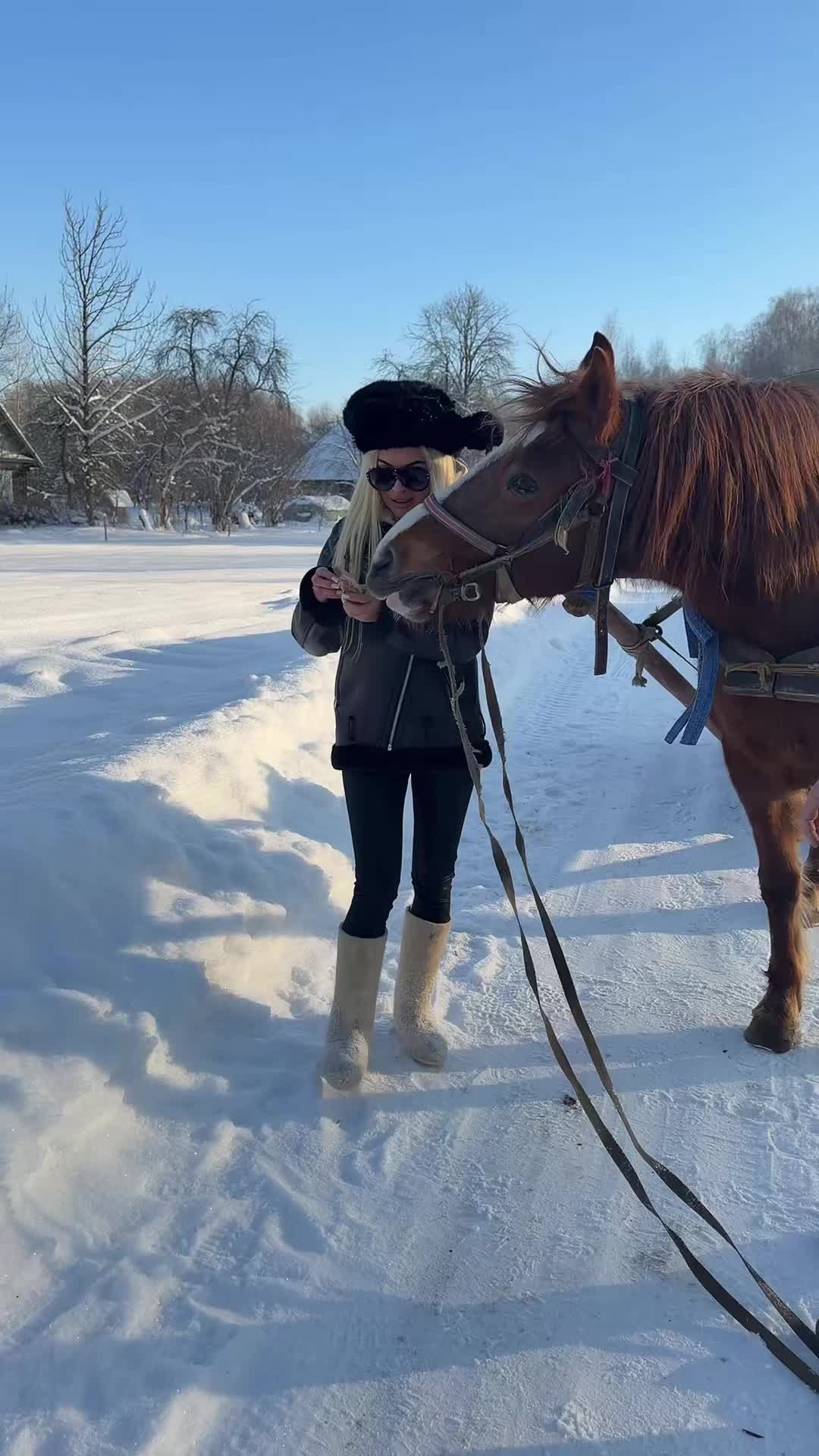 @кот бумер