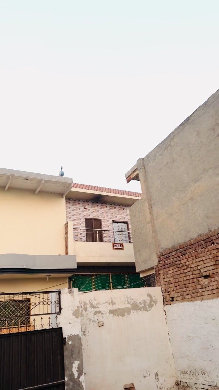 @ch Mubshar Lamberdr 151