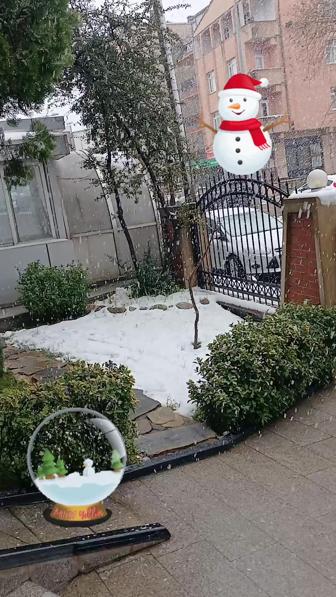 @derya erol