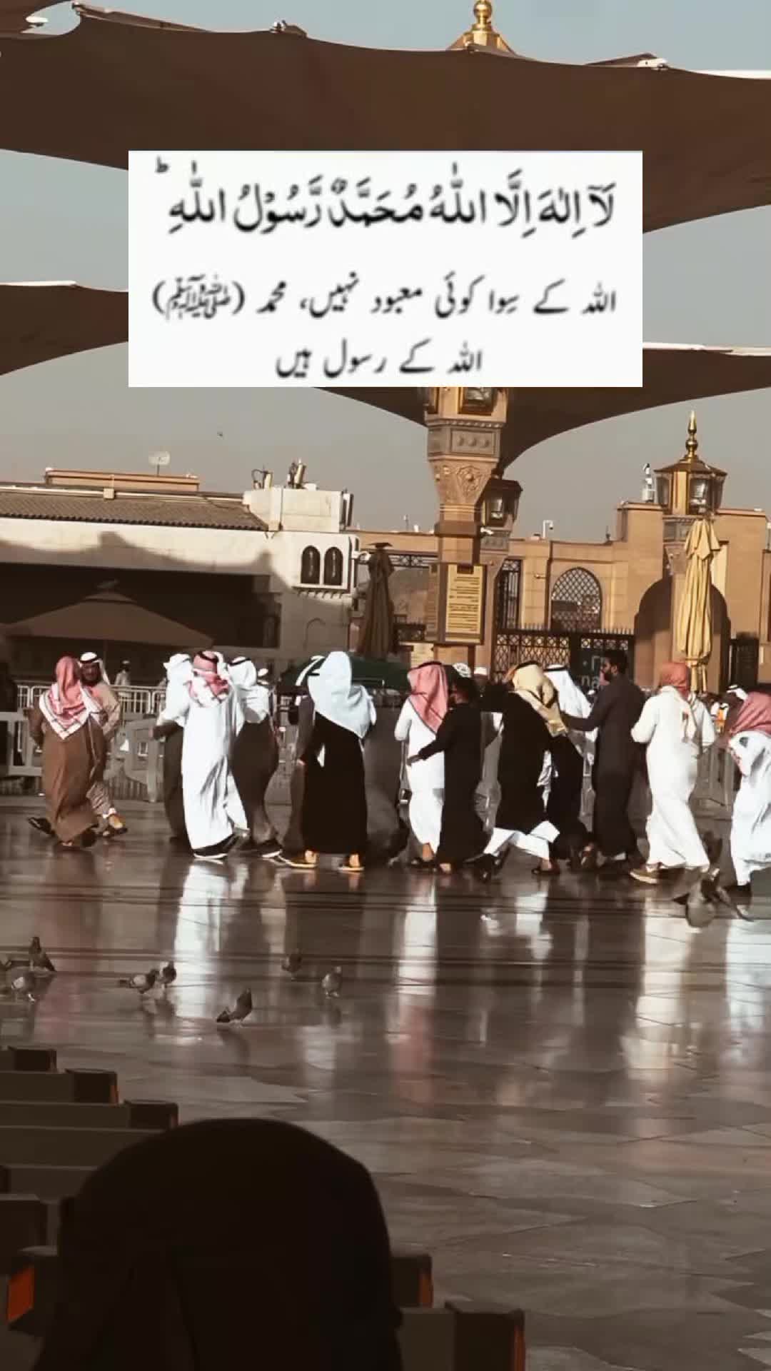 @Noor uk