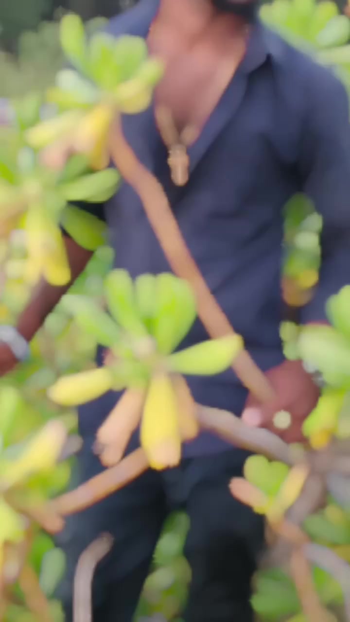 @kiramaththan