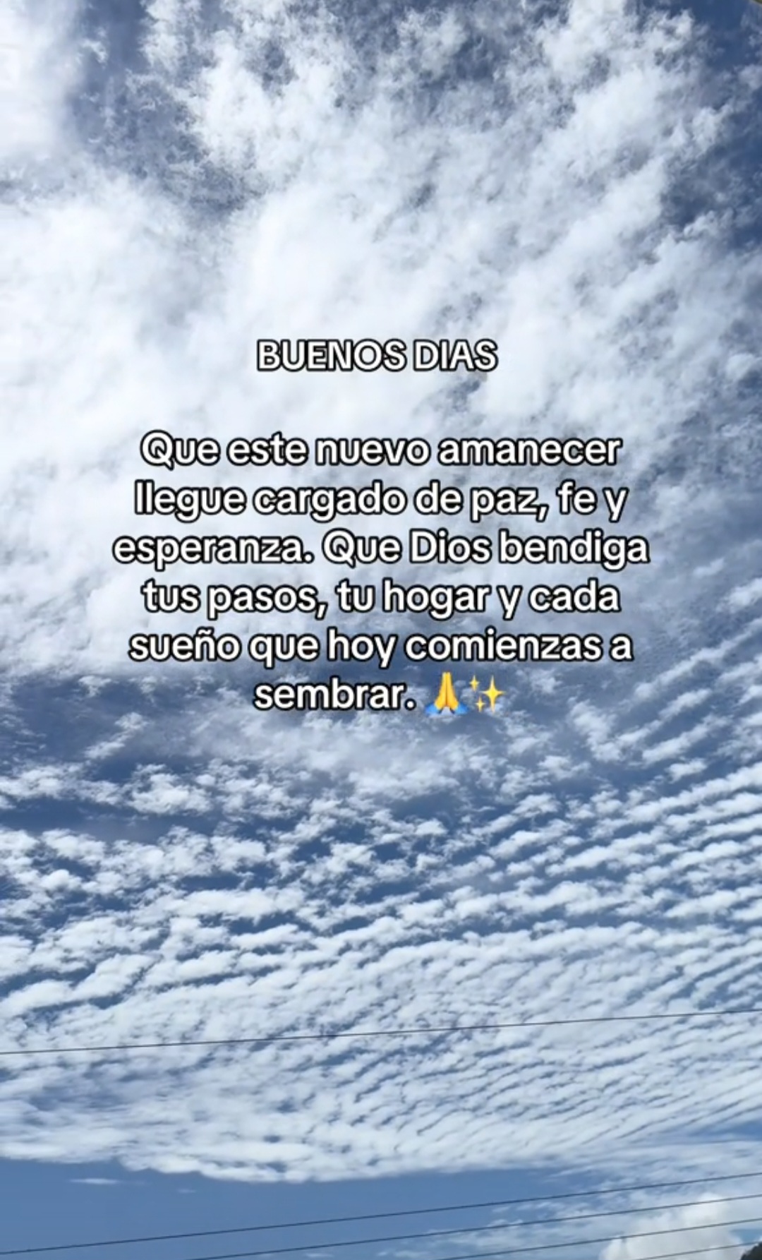 @digna hernandez