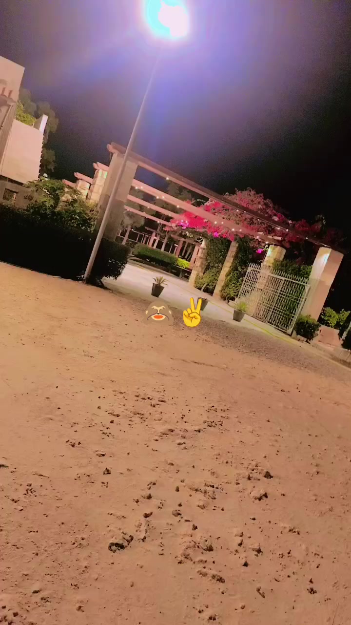 @shahjani4✌️ king👑🔥