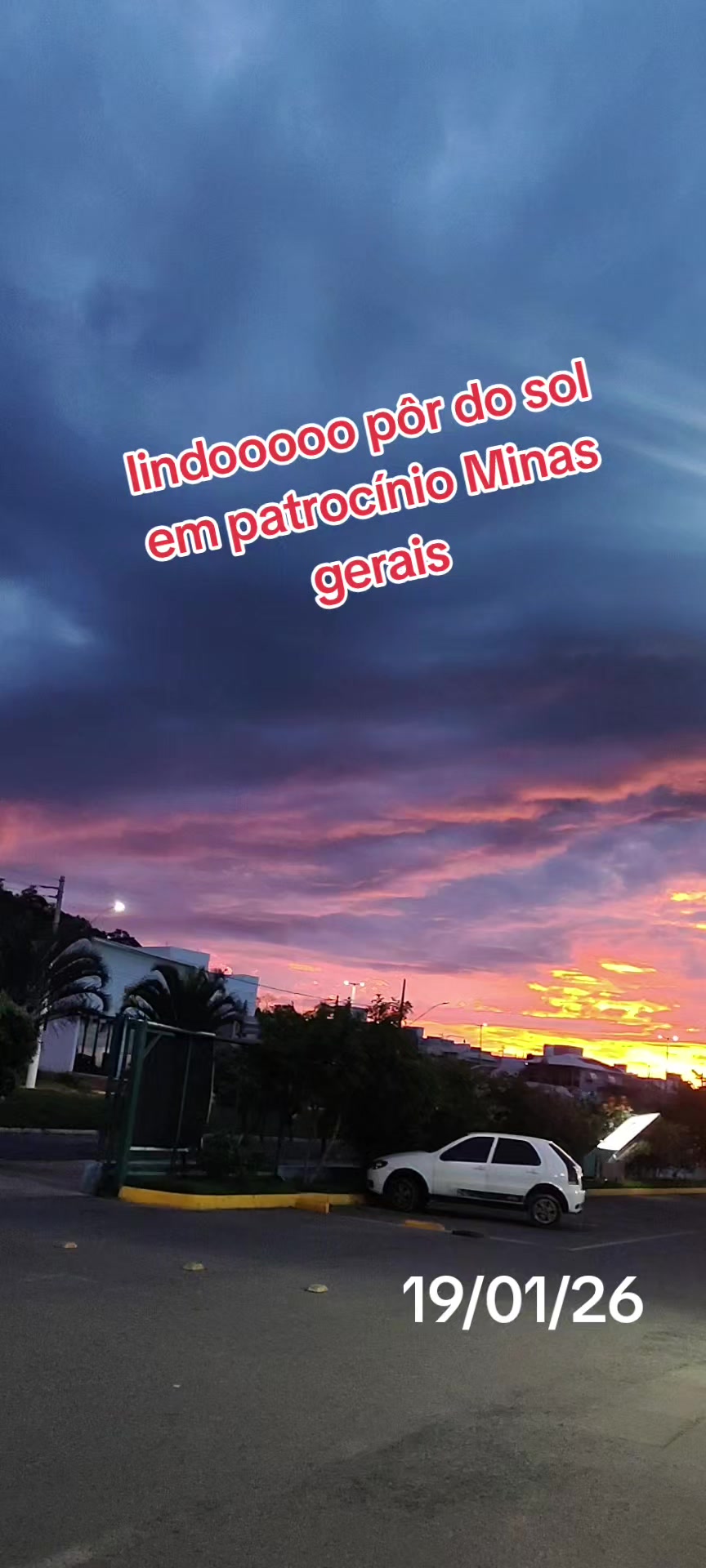 @aparecidamachado303