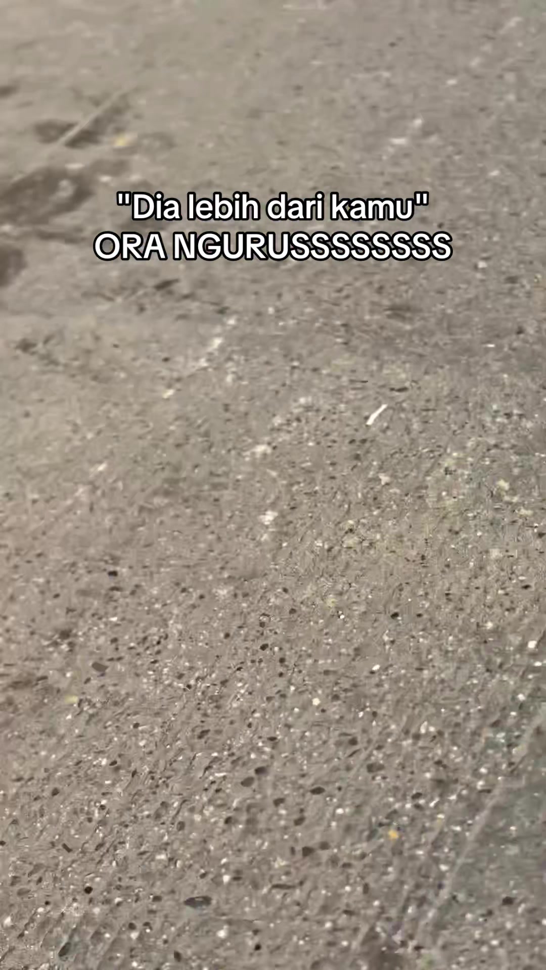 @BABY_DINO🦖