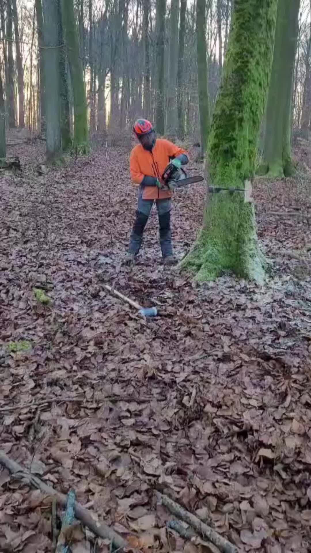 @Benjamin W&ouml;lfel