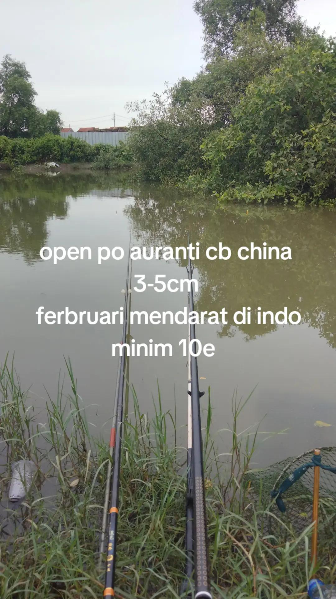 @DuL Channa