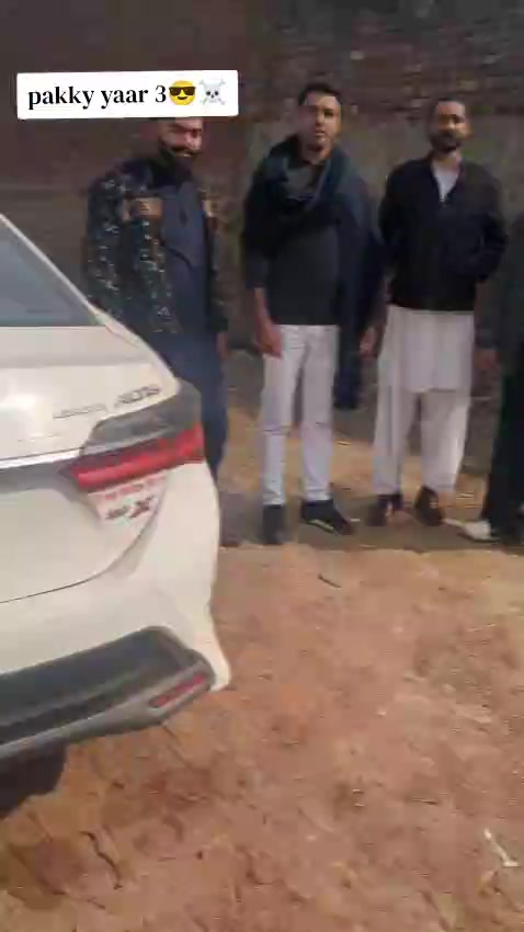 @aligujjar564