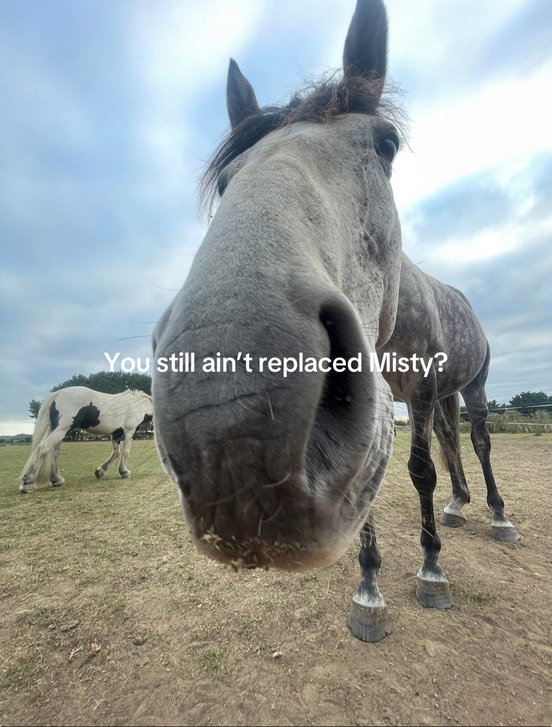 @Daisy and the pony&rsquo;s