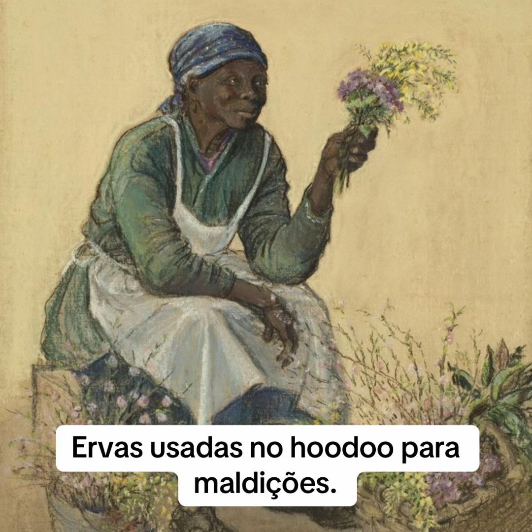 @bernardo