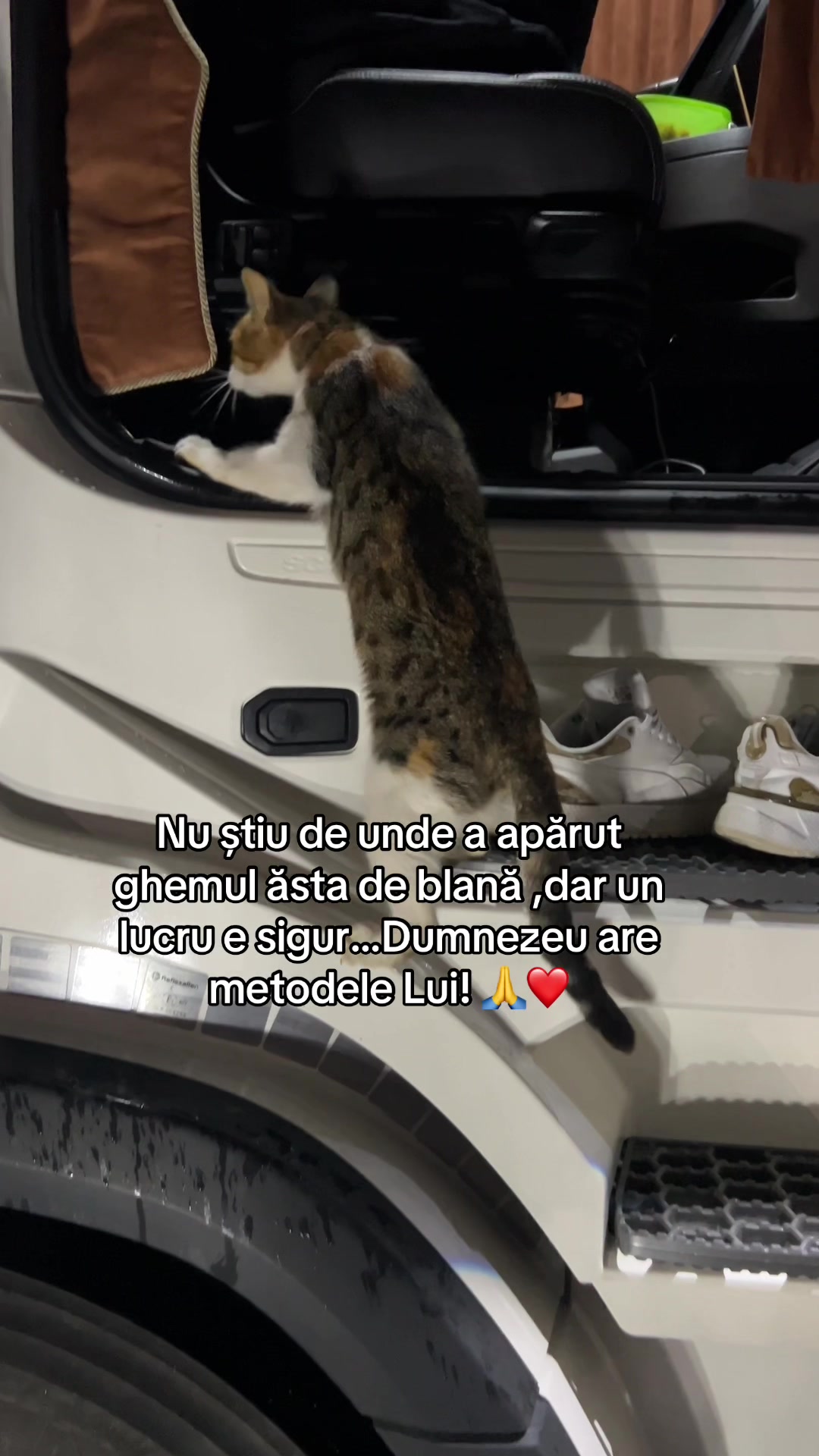 @🇪🇺🇷🇴ALEX.B🇮🇹🇪🇺
