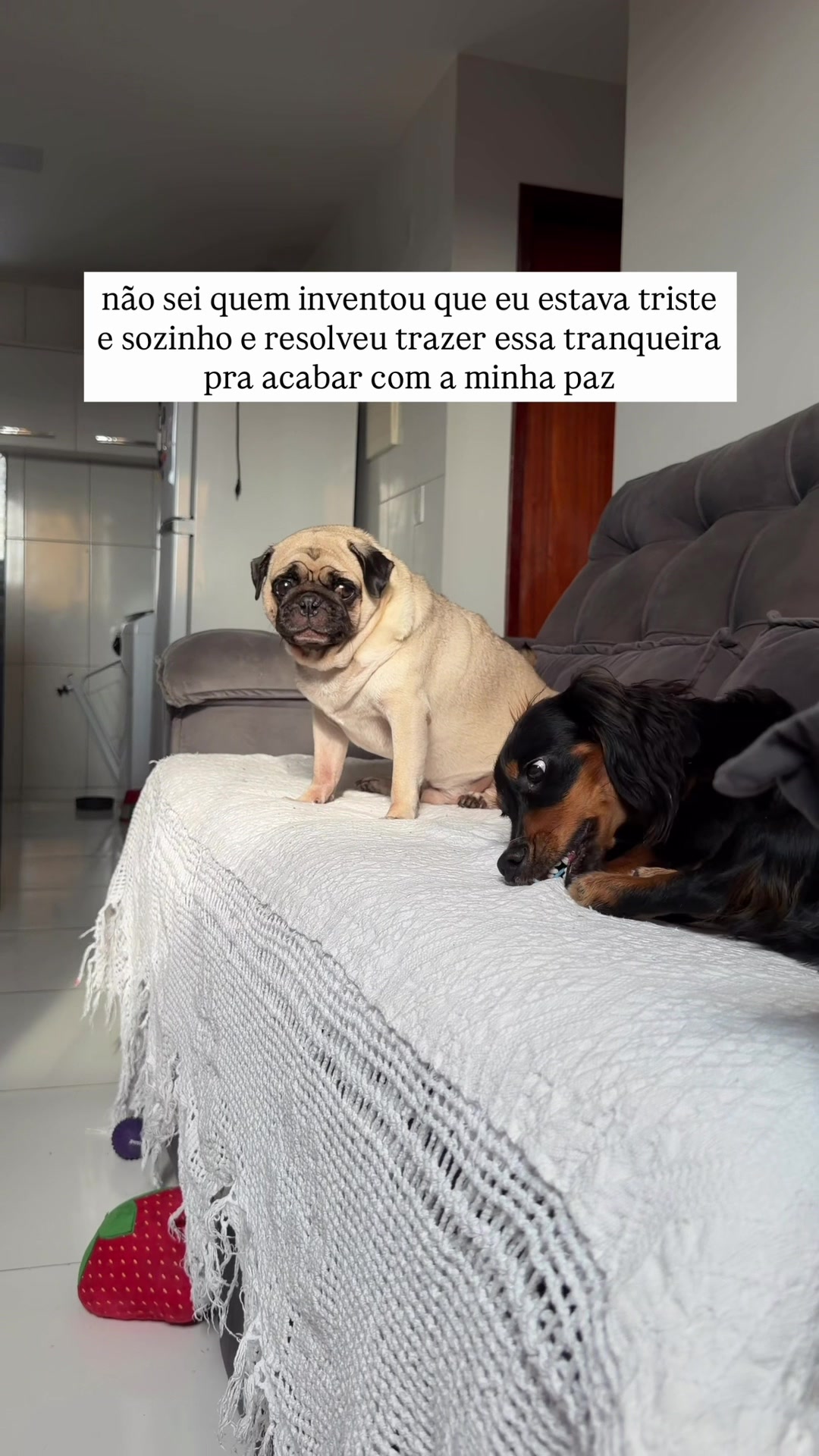 @FRANKINHO
