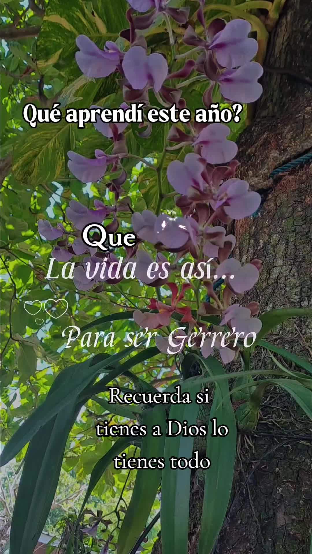 @Anita Lara