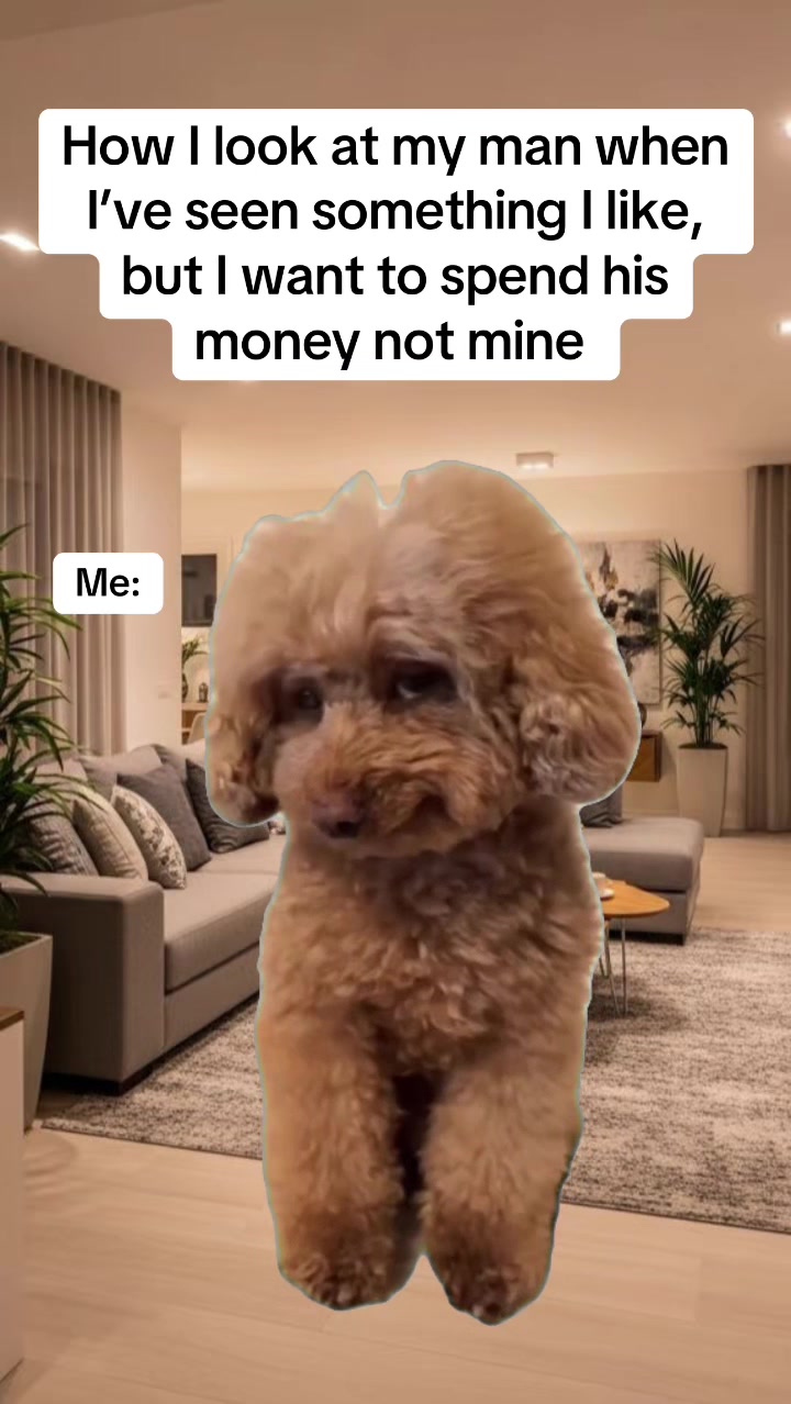 @Pixie Memes
