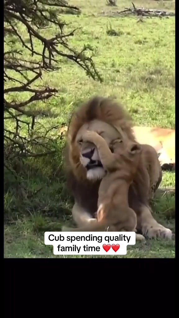 @Nature.best