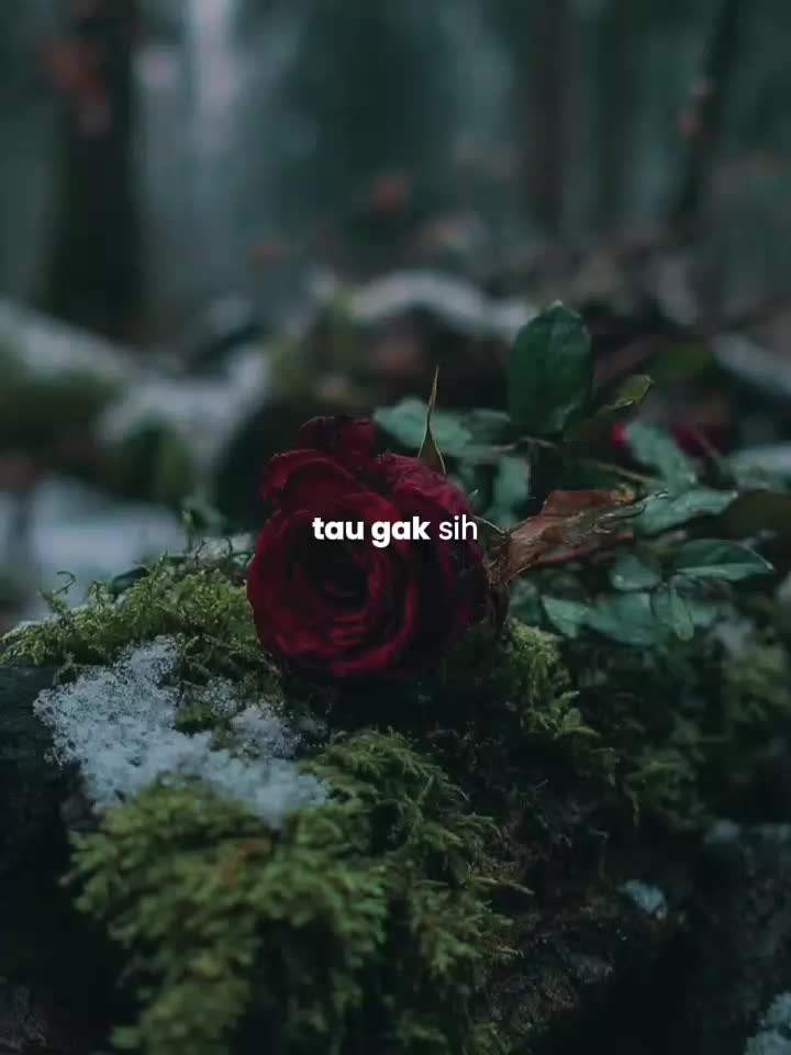 @rumput liar....